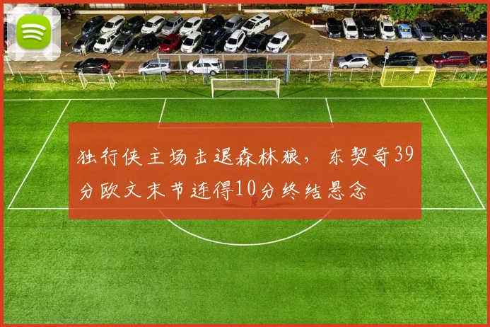 独行侠主场击退森林狼,东契奇39分欧文末节连得10分终结悬念
