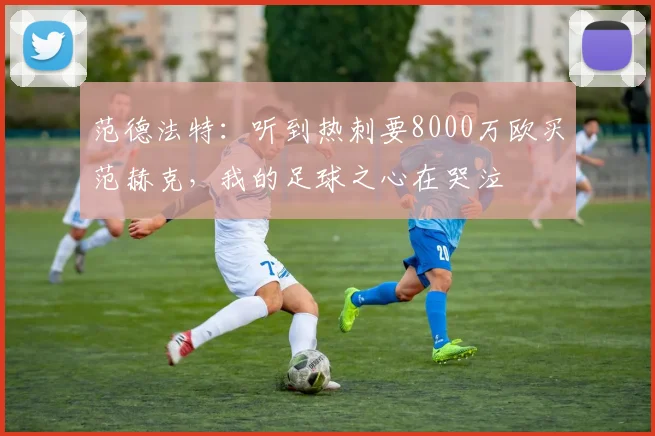 范德法特：听到热刺要8000万欧买范赫克，我的足球之心在哭泣