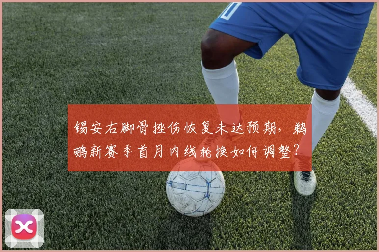 锡安右脚骨挫伤恢复未达预期,鹈鹕新赛季首月内线轮换如何调整?